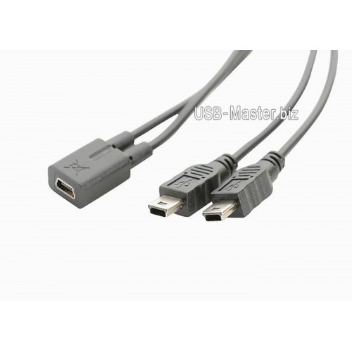 Y-разветвитель 2x Mini-USB папа ‒ Mini-USB мама